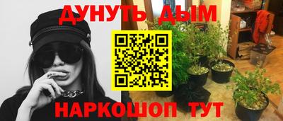 ECSTASY Будённовск