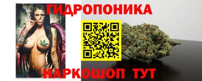 ECSTASY Будённовск
