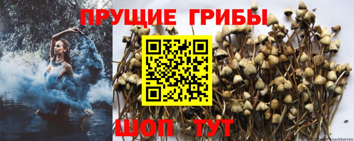 Евпатория  закладки  Вход с VPN  Галлюциногенные грибы Magic Shrooms 